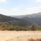 قرية صطاف المدمرة والمهجرة الواقعة غرب مدينة القدس