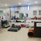 افتتاح معرض