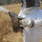 نحّالات كفر مالك