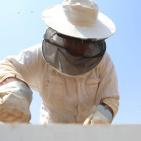 نحّالات كفر مالك