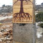 من قرية فرخة إلى العالمية