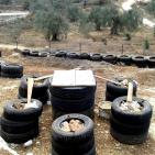 من قرية فرخة إلى العالمية