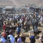 سوق الحلال في الخليل..حركة نشطة قبيل العيد