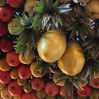 بالصور: عيد العرش لدى الطائفة السامرية في مدينة نابلس