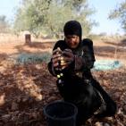 معصرة الجدار