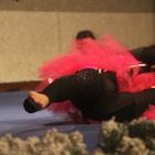 الجمعية الروسية الفلسطينية تنظم يوم فرح ومرح بالخليل