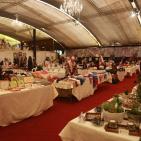 أفتتاح معرض