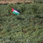 افتتاح  مهرجان الفقوس في بلدة دير بلوط