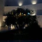 الرئيس يضيء شعلة انطلاقة الثورة تحت عنوان القدس عاصمة فلسطين