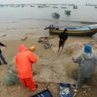 غزة: زيارة شتوية لميناء يتحدى الموج وأكثر