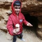 جولة في المقبرة الأثرية الرومانية شمال غزة