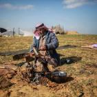 عودة زراعة القمح قرب حدود رفح الشرقية