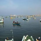 شاركونا بجولة في ميناء غزة