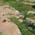 وادي قانا..جمال ملوث