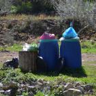 وادي قانا..جمال ملوث