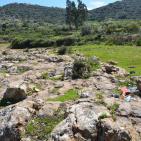 وادي قانا..جمال ملوث