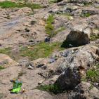 وادي قانا..جمال ملوث