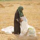 مهرجان الفقوس دير بلوط