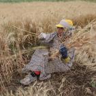 مهرجان الفقوس دير بلوط