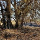 السلاح الجديد يتسبب بوقف حركة القطارات في غلاف غزة