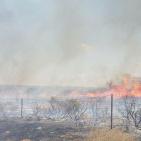 السلاح الجديد يتسبب بوقف حركة القطارات في غلاف غزة