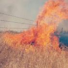 السلاح الجديد يتسبب بوقف حركة القطارات في غلاف غزة