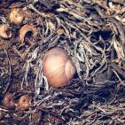 صور: البالونات الحارقة تحوّل غلاف غزة الى