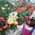 مؤثر- اسرائيل تغتال