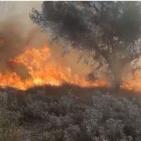 صور- موجة حرائق في