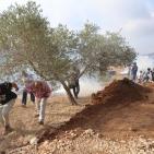 كسر قرار إغلاق مدرسة الساوية جنوب نابلس