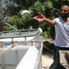 تربية الأسماك في نابلس