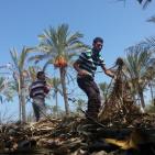 مواصي خانيونس من جنة إلى مكرهة صحية