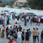 استمرار فعاليات مهرجان فرخة الدولي لليوم الثالث 