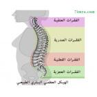 خاص| بالفيديو: أسباب تشوهات العمود الفقري وطرق الوقاية والعلاج