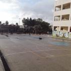 بالصور.. الاحتلال يصيب عشرات الطلبة والمعلمين بالاختناق غرب جنين