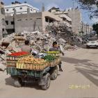 بالصور: عودة الحياة إلى غزة بعد 11 يومًا من العدوان