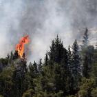 شاهد: حريق هائل بمنطقة أبوغوش في جبال القدس