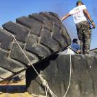 شاهد: فعاليات