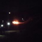 شاهد: فعاليات