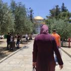 بالصور: 40 ألف مصلٍ يؤدون الجمعة في الأقصى