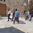 بالصور.. مستوطنون يقتحمون باحات الأقصى وسط حراسة مشددة