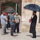 بالصور.. مستوطنون يقتحمون باحات الأقصى وسط حراسة مشددة