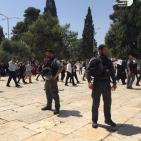 مستوطنون يقتحمون الأقصى والاحتلال يحول ساحاته لثكنة عسكرية