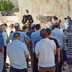 شاهد: مستوطنون يقتحمون باحات 