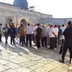 بالصور.. 430 مستوطنا يقتحمون الأقصى والاحتلال يعتقل شابا من باحاته