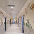 شاهد: وزيرة الصحة تفتتح مستشفى دورا الحكومي