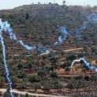 بالصور: 44 إصابة خلال مواجهات مع الاحتلال في بيتا وبيت دجن