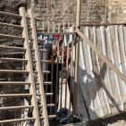 صور: الاحتلال يواصل أعماله التهويدية في المقبرة اليوسفية بالقدس