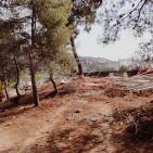 صور: الاحتلال يواصل أعماله التهويدية في المقبرة اليوسفية بالقدس