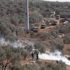 صور: إصابات بالرصاص والاختناق بمواجهات مع الاحتلال في بيتا وبيت دجن